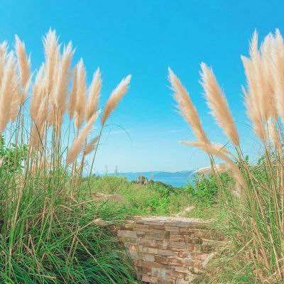 kok中欧登录入口手机app下载