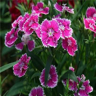 kaiyun体育最新版安装