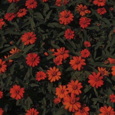 一分钟彩票app下载