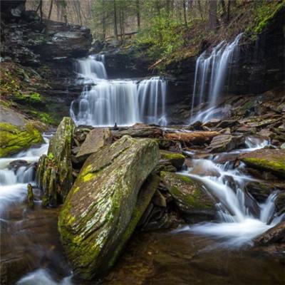 cq9电子游戏appapp下载