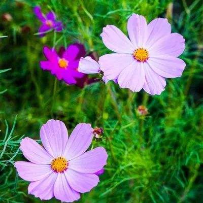 B体育登录APP下载手机app下载