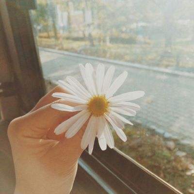 乐鱼游戏app在线登录app下载