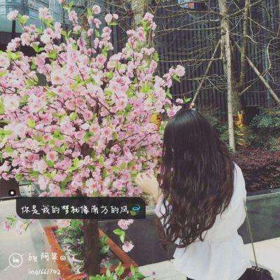 万博手机版app下载